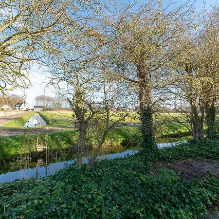 Near Bulb Fields With Garden *