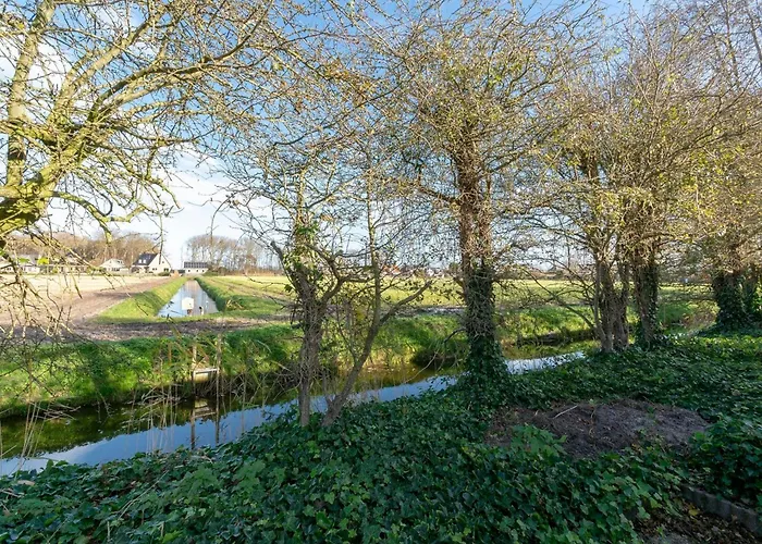 Near Bulb Fields With Garden *